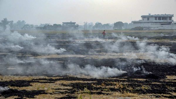 Stubble Burning: दिल्ली के वायु प्रदूषण की समस्या का क्या है समाधान?