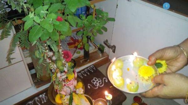 Tulsi Vivah Wishes 2023: 'मैं तुलसी तेरे आंगन की...', अपनों को भेंजे दिल छू लेने वाले बधाई संदेश 