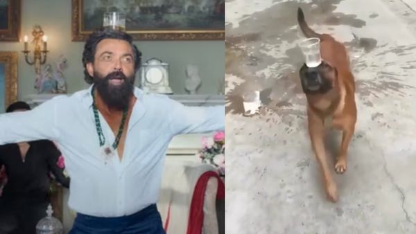 'लॉर्ड डॉगी' ने बॉबी देओल के गाने पर शराब रखकर किया डांस, कुत्ते का VIDEO देख लोगों की छूटी हंसी