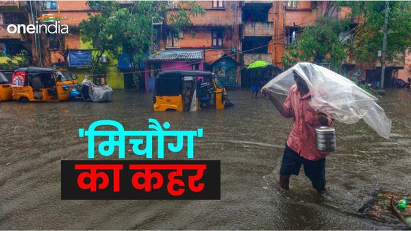Cyclone Michaung Updates: चेन्नई में 8 की मौत, सड़कों पर टहलता दिखा मगरमच्छ, देखें दिल दहलाने वाला ये Video