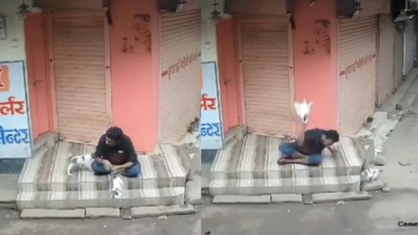 गुना में कुत्ते के बच्चे के साथ क्रूरता, सिंधिया ने की न्याय की मांग, जानिए क्या था शिवराज का रिएक्शन