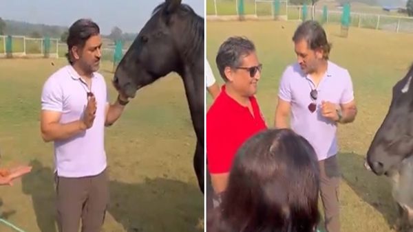 VIDEO: घोड़े को अपने हाथों से चारा खिलाते नजर आए धोनी, सादगी देख मुरीद हुए फैंस