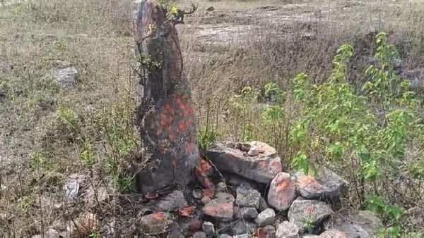 Dinosaur Egg Worship: कुलदेवता मान कर जिसकी कर रहे थे पूजा, वह निकला करोड़ों वर्ष पूर्व डायनासोर के अंडे