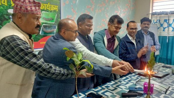 कीटनाशक के लिए 50 फीसद अनुदान, आम और अमरूद पर छिड़काव के 75 फीसद अनुदान, ऐसे लें लाभ