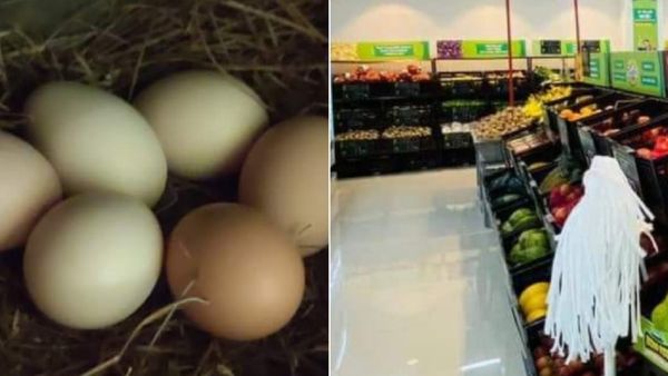 Indore news: क्या मॉल्स में खुले में बिकते हैं अंडे?, Reality Cheak में सामने आया सच