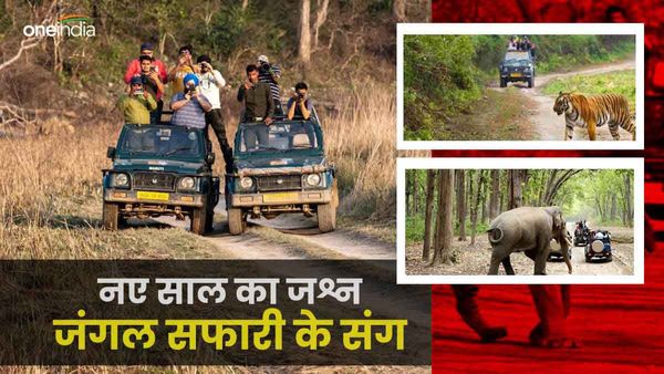 New Year Celebration 2024: जंगल सफारी के साथ मनाएं नए साल का जश्न, कहां करें बुक और कितना आएगा खर्चा