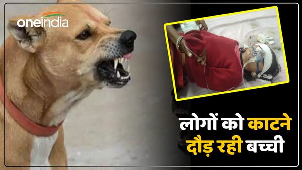 UP News: पागल कुत्ते ने लड़की को काटा, अब लोगों को काटने दौड़ रही लड़की, हैरान कर देगा मामला, न करें ऐसी गलती 