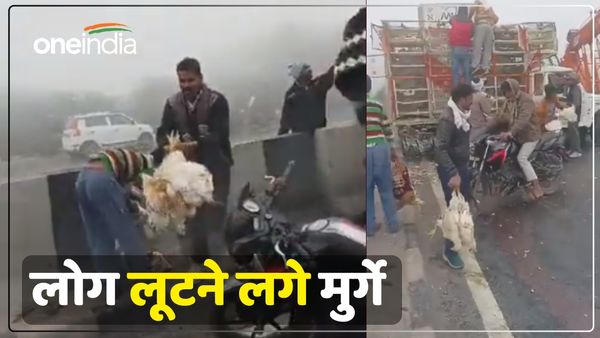 'जो पहुंचा वो मुर्गे लेकर भागा', आगरा में हाईवे पर इसलिए लोग लूटने लगे मुर्गे, देखें Video