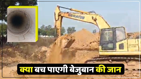 UP News: बोरवेल में गिरा मेमना, बचाने के लिए पांच जेसीबी लगाई गईं, रस्सी के जरिए खिलाया जा रहा चारा- Video