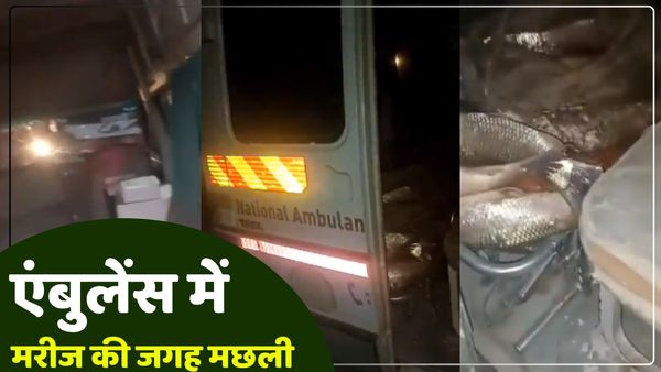 Viral Video: एंबुलेंस में स्ट्रेचर पर मरीज की जगह मिलीं मछलियां, शक होने पर पुलिस ने रोका तो रह गए हैरान