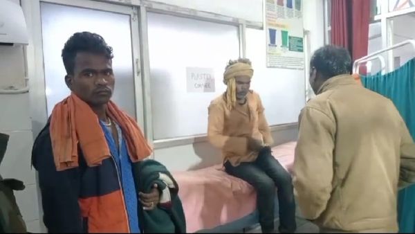 Panna News: भाई को बचाने के लिए आदमखोर भालू से भिड़ गया छोटा भाई, डंडे से किया मुकाबला