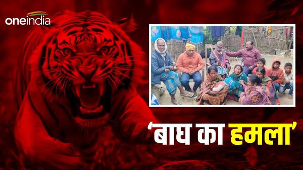 Bihar News: बाघ के हमले का शिकार हुई महिला, ग्रामीणों में दहशत का माहौल, जानिए पूरा मामला