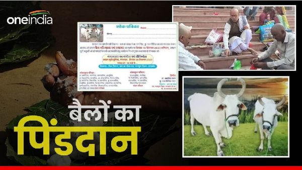 MP News: बैलों का पिंडदान कर गंगा में विसर्जित की अस्थियां, शोक पत्र बांटकर कराएंगे तेरहवीं का भोज