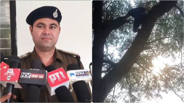 Rewa News: रीवा में चोरी का हैरान कर देने वाला मामला, चप्पल के चक्कर में पकड़ा बकरी चोर