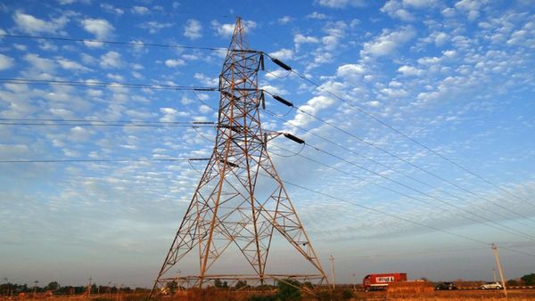 Tikamgarh News: टीकमगढ़ के पलेरा में बिजली की 11केवी लाइन टूटी, 1 किसान की मौत   