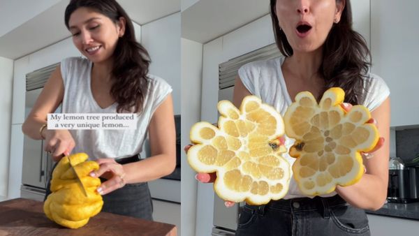 क्या आपने देखा अजीबोगरीब नींबू? VIDEO देखकर उड़ गए लोगों के होश