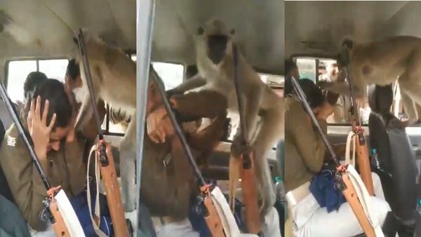 Viral Video: लंगूर ने गाड़ी में घुसकर महिला सिपाहियों को किया परेशान, कभी हाथ पकड़ा तो कभी छूने लगा चेहरा
