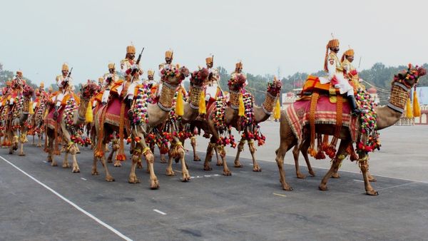 Republic Day 2024: BSF की कैमल टुकड़ी के ऊंट दिल्‍ली में परेड करते दिखेंगे, पहले करेंगे करणी माता की आरती