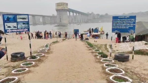 Morena News: नया साल मनाने राजघाट में उमड़ी सैलानियों की भीड़, चंबल किनारे ऊंट की सवारी कर जादूगर ने चौंकाया