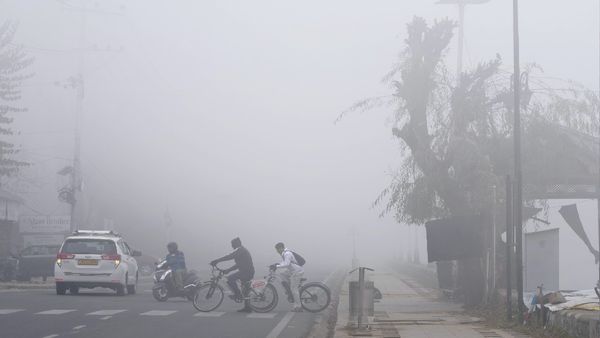 Cold Wave: हरियाणा, यूपी समेत शीतलहर की चपेट में समूचा उत्तर भारत, दिल्ली में हाल बेहाल, 3 दिन तक राहत नहीं