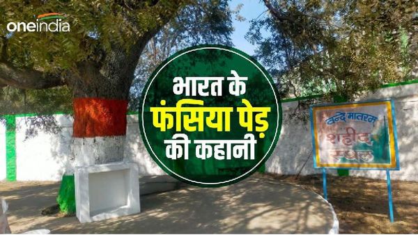 दमोह का फंसिया पेड़, इसी नीम के वृक्ष पर अंग्रेजों ने दी थी 27 क्रांतिकारियों को फांसी