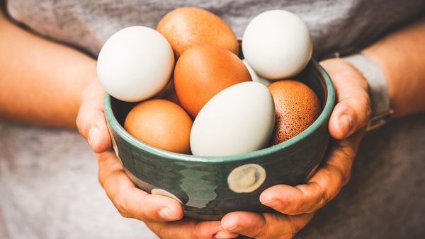 Side Effects Of Eggs: रोज अंडे खाते हैं तो हो जाएं सावधान, शरीर में हो सकती हैं ये बड़ी बीमारियां