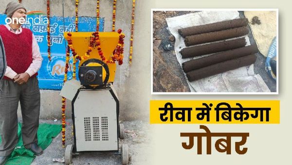 Rewa News: किसान अब दूध के साथ-साथ गोबर बेचकर करेंगे दोगुना कमाई, एक किलो के मिलेंगे इतने दाम