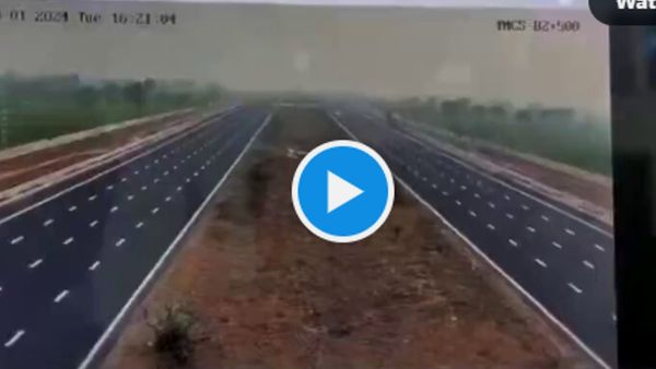 Manvendra Singh Accident: पूर्व MP मानवेंद्र सिंह जसोल की कार एक्‍सीडेंट का CCTV फुटेज वायरल, देखें Video