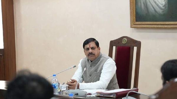 कूनो में चीता ज्वाला ने तीन शावकों को दिया जन्म, CM मोहन यादव ने दी बधाई