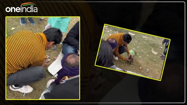 Bareilly News: बरेली नए साल के जश्न में युवकों ने पिल्लों संग की शर्मनाक हरकत, वीडियो देख खौला खून