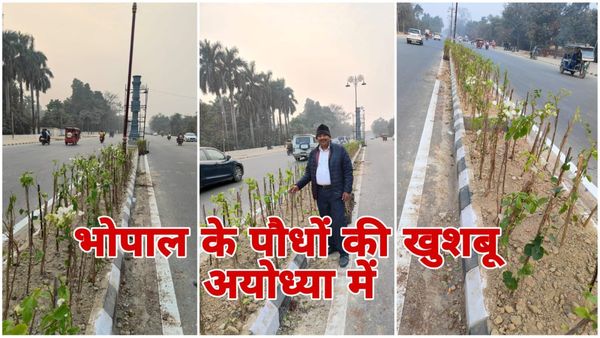 Bhopal News: भोपाल के पौधों को खुशबू अयोध्या में बिखरेगी, 800 किलोमीटर दूर फूलों से सजेगी राम की नगरी