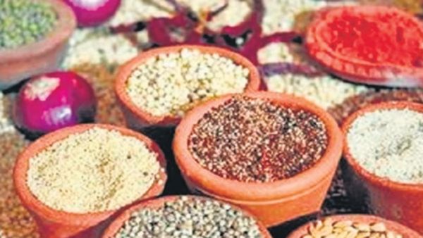 आंध्र प्रदेश: कडप्पा जिले में बाजरा की खेती में 2 गुना वृद्धि देखी गई