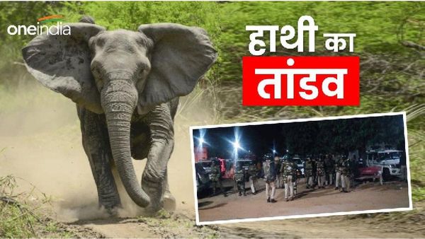 MP News: अनूपपुर में हाथी ने किसान को पटक-पटक कर मार डाला, ग्रामीणों ने पुलिस पर किया हमला