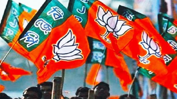 जानिए कौन हैं वो चार चेहरे, जो मध्य प्रदेश में बीजेपी के कोटे से जा रहे हैं राज्यसभा