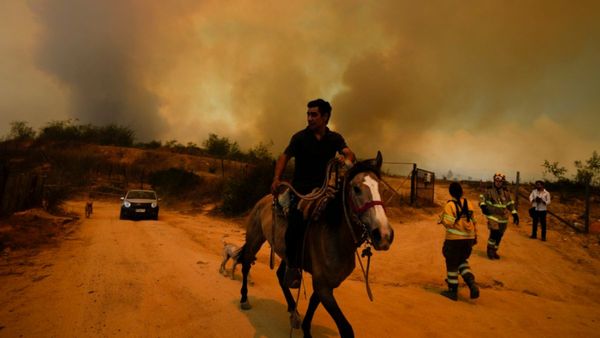 Chile fire: चिली के जंगलों में लगी भयानक आग, 112 लोगों की मौत, हजारों घर जलकर खाक, राष्ट्रपति ने आपातकाल लगाया