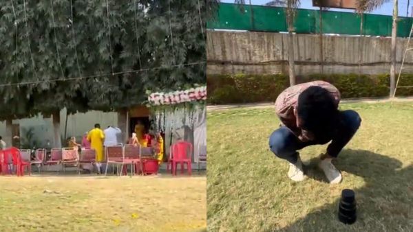 Guna Marriage News: विवाह कार्यक्रम में मधुमक्खियों ने मचाया तांडव, 25 लोग घायल, तीन आईसीयू में भर्ती