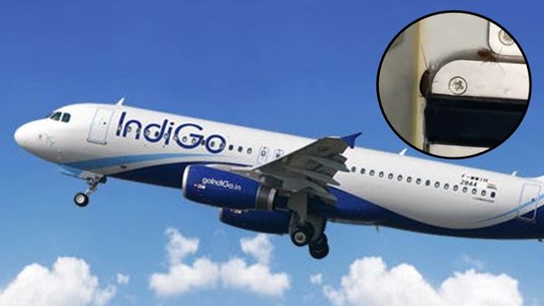 इंडिगो एयरलाइंस का फूड सेक्शन कॉकरोचों का अड्डा! Video वायरल होते ही हुई फजीहत