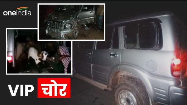 MP News: स्कॉर्पियो गाड़ी से बकरियों की चोरी, रोकने पर ड्रम को उड़ाया, दो की चली गई जान