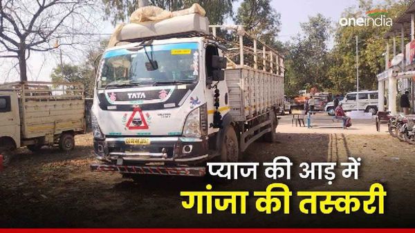 Katni News: कटनी में NCB ने पकड़ा दुनिया का सबसे महंगा गांजा, कीमत ढाई करोड़ रुपए