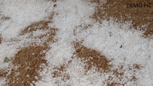 Weather Rajasthan: राजस्‍थान में बदला मौसम का मिजाज, इस जगह गिरे चने के आकार के ओले