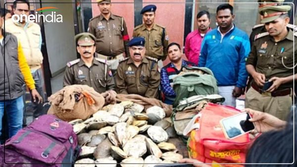 UP News: ट्रेन में पकड़े गए एक करोड़ के कछुए, बोरा खुलते ही लगे भागने, गिनने में अधिकारी हुए परेशान