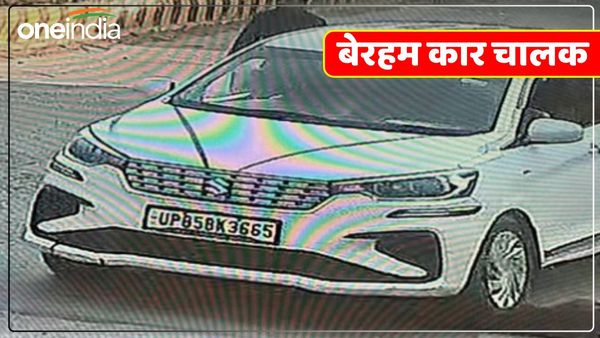 'निर्दयी कार चालक' ने सड़क पर लेटे स्ट्रीट डॉग को कार से कुचलकर मार डाला, वीडियो देख लोगों का खौल उठा खून
