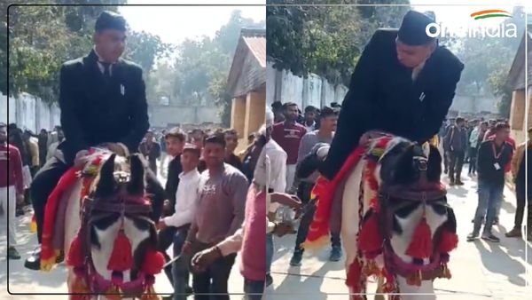 Sambhal News: घोड़े पर सवार होकर परीक्षा देने पहुंचा लॉ का छात्र, देखने वाले भी रह गए हैरान, फिर हुआ कुछ ऐसा