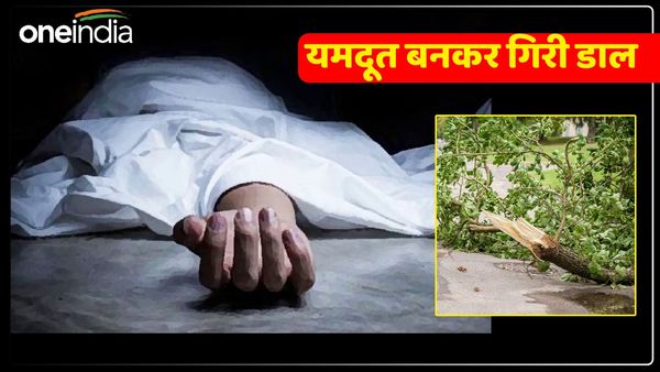 UP News: स्कूटी से घर लौट रहा था दंपत्ति, यमदूत बनकर गिरी पेड़ की डाल, पल भर में चली गई पति की जान