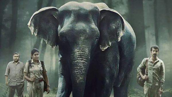 Poacher Trailer: रोंगटे खड़े कर देगा आलिया भट्ट की 'पोचर' का ट्रेलर, हाथियों पर हुए ऐसे अत्याचार