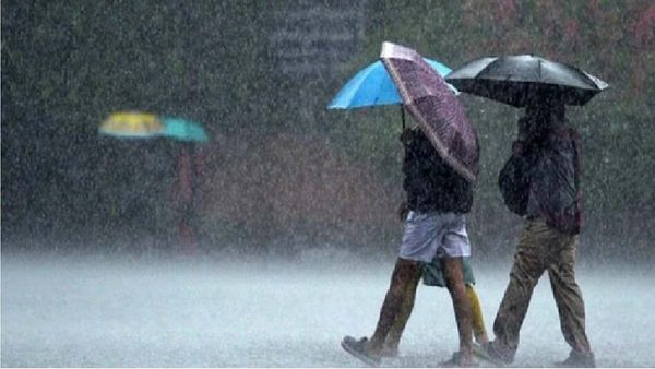 Weather Update: झमाझम बारिश से किसान परेशान, IMD ने फिर जारी की गरज के साथ वर्षा की चेतावनी