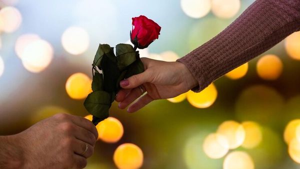 Valentine’s Day 2024: इस वैलेंटाइन पार्टनर को देना चाहते हैं गुलाब, जानें किस रंग का क्या होता है मतलब? 