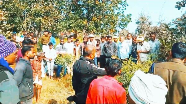 Sidhi News: जंगली पक्षियों का शिकार कर रहे शिकारी खुद बने शिकार, चार दोस्त बिजली की फेंसिंग में चिपके