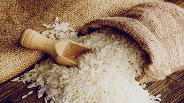 Bhopal News: सरकार अच्छी क्वालिटी का साबुत चावल ₹29 किलो में बेचेगी, एक बार में अधिकतम 20Kg ही मिलेगा