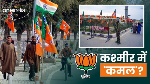 Lok Sabha Election: Article 370 हटने के बाद कश्मीर की कौन सी पहली सीट जीतने की उम्मीद में है बीजेपी?